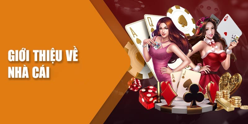 Tìm hiểu thông tin nhà cái 8KBET